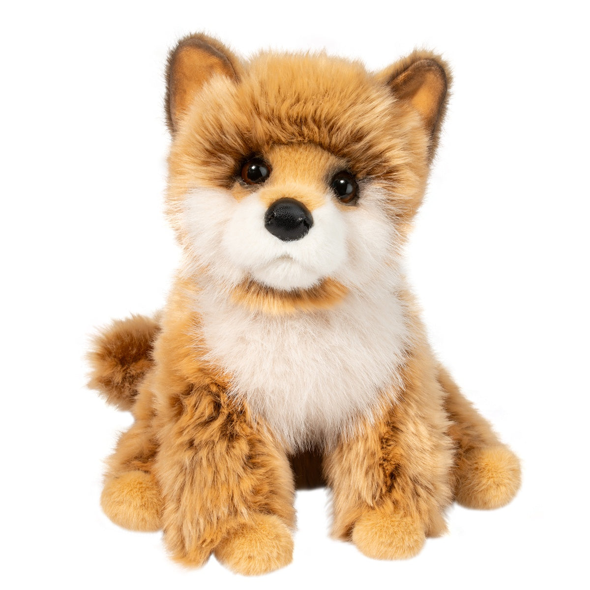 Dove Pomsky Douglas