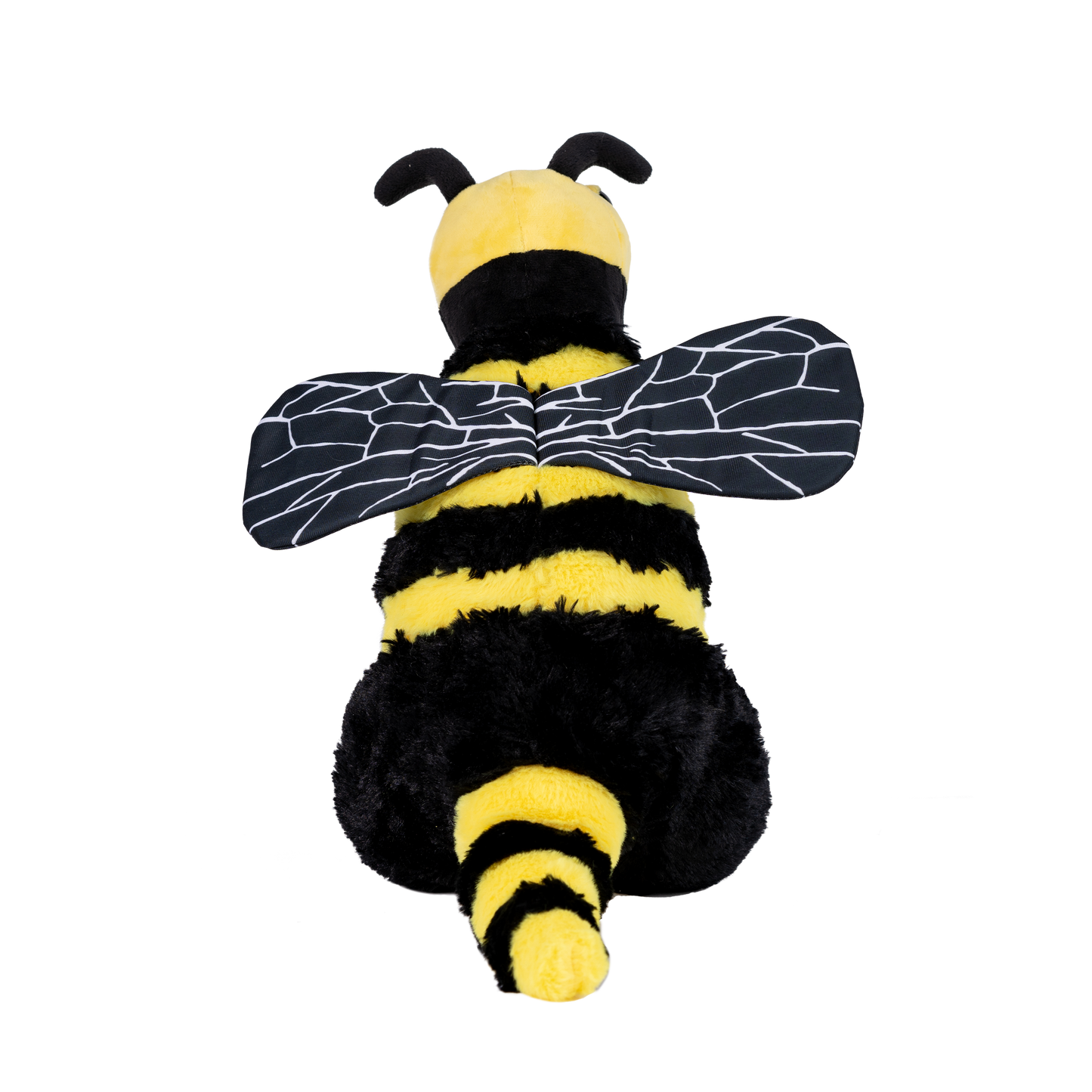 B-Rex Randimal
