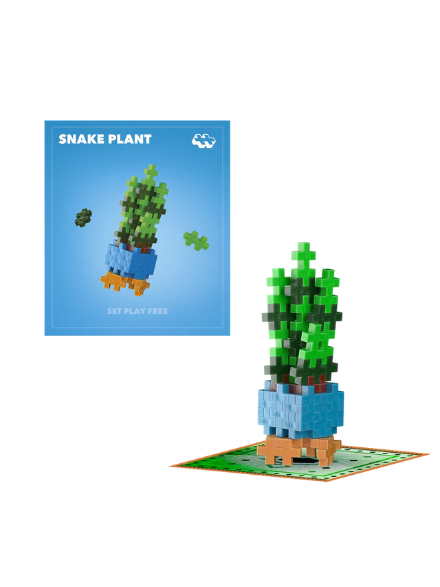 snake plant from seed Snake Plant – Learning Express Toys & Gifts Bend, OR