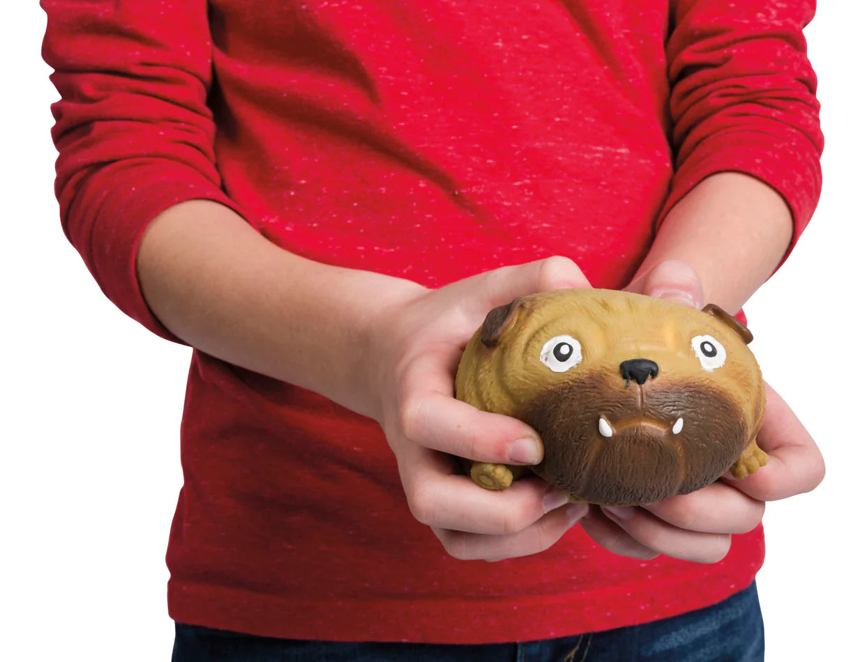 Skwishy Pups Toysmith