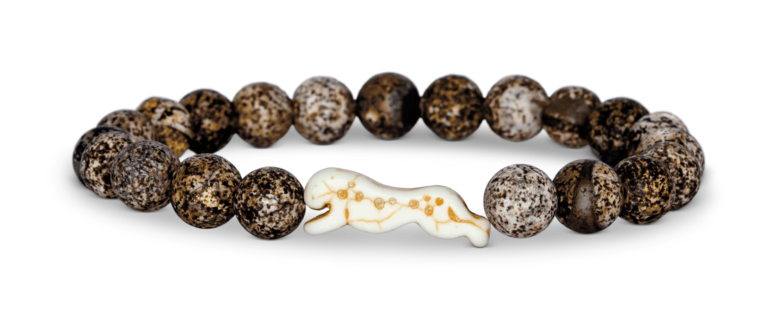 Cheetah Kalahari Sprint