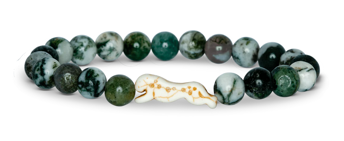 Cheetah Acacia Sprint