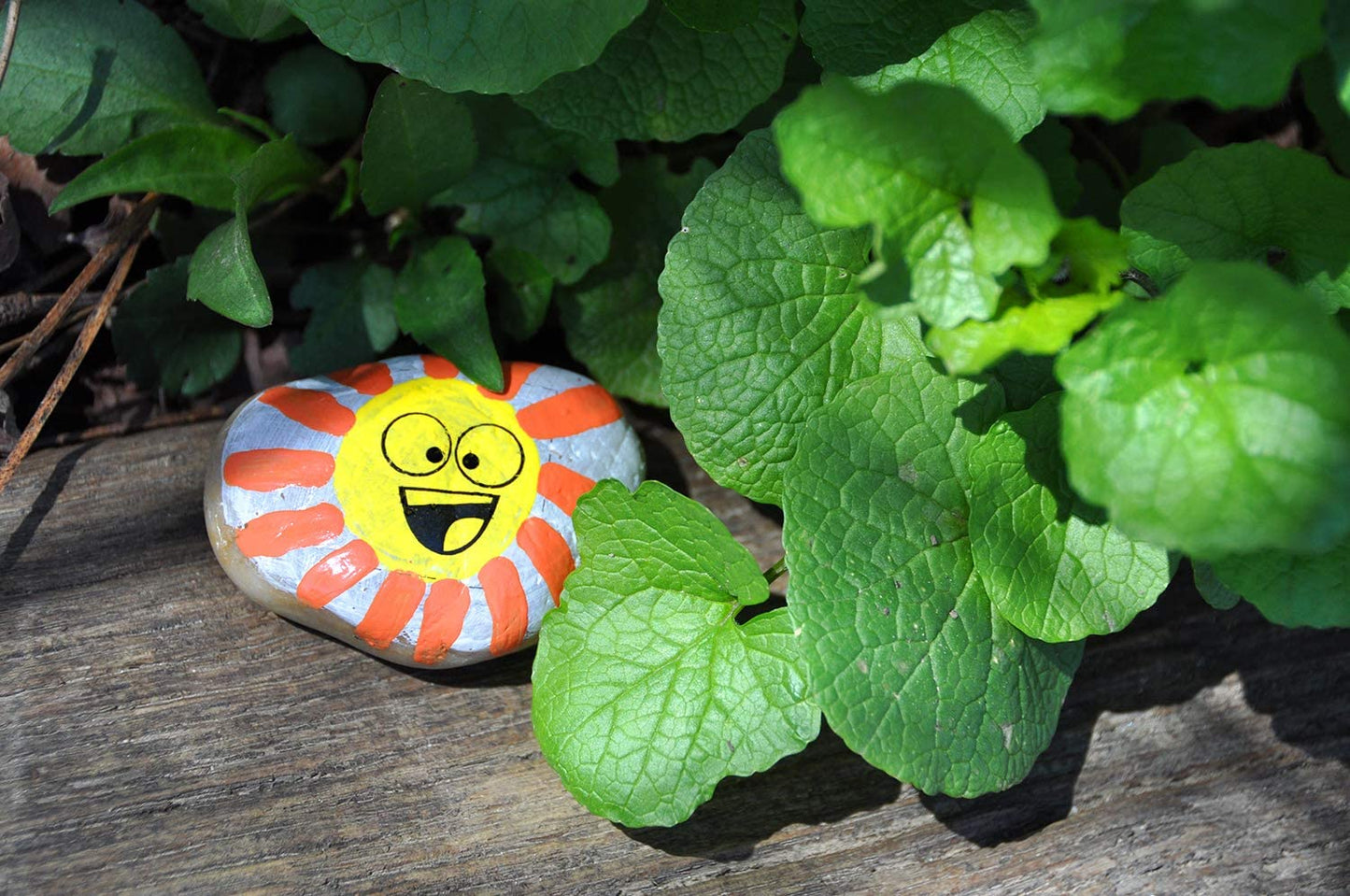 Hide and Seek Rock Painting