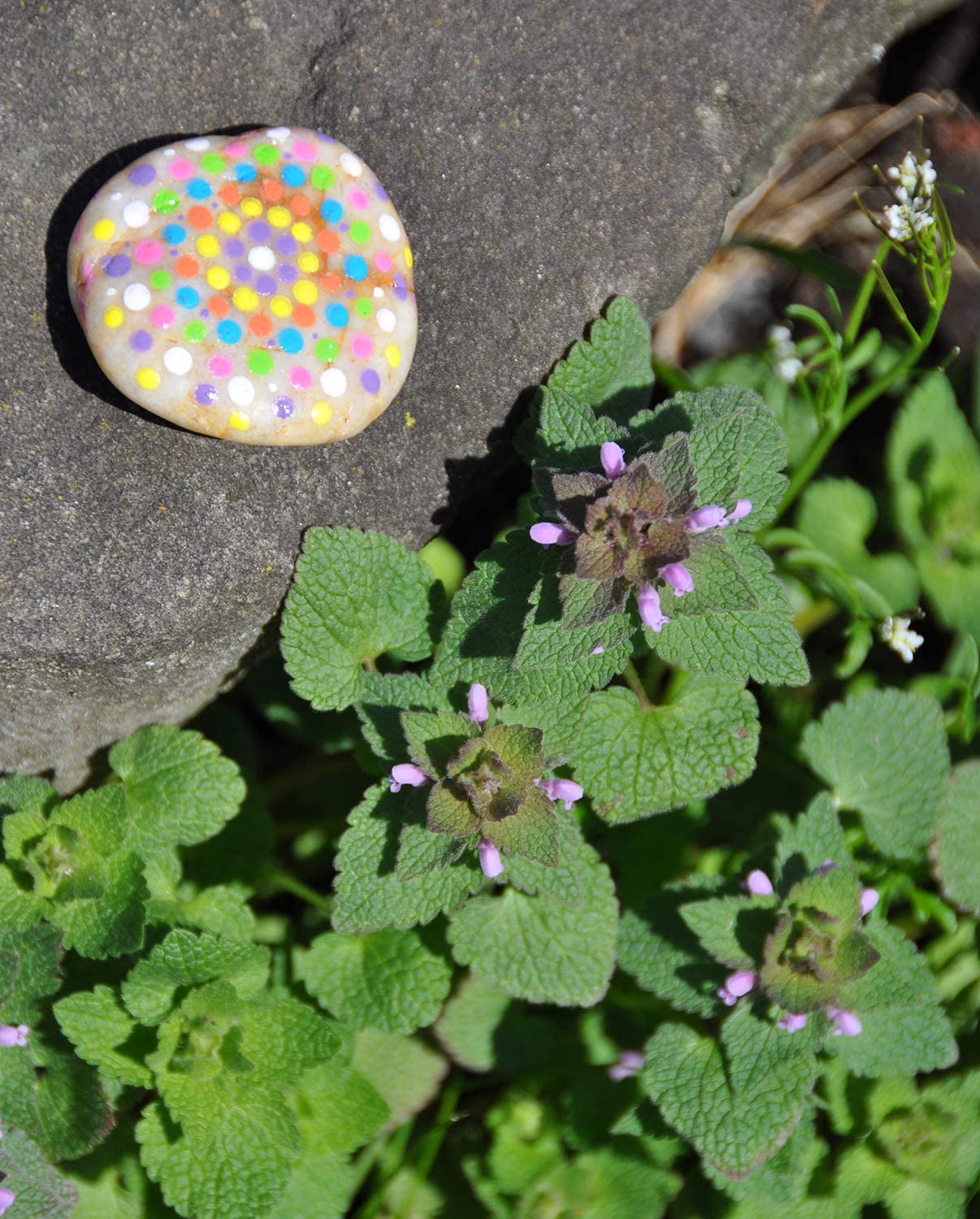 Hide and Seek Rock Painting