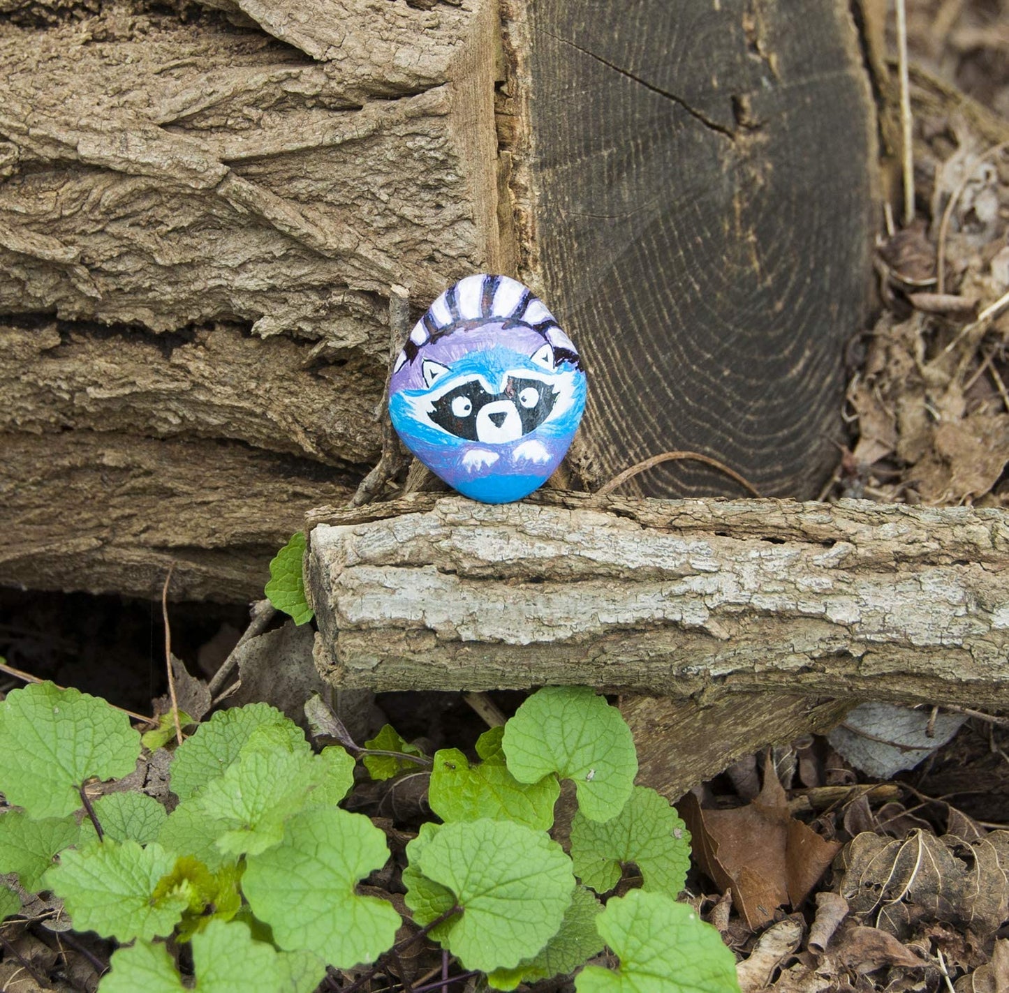 Hide and Seek Rock Painting