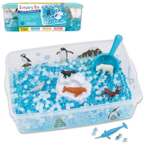 Sensory Arctic Adventure