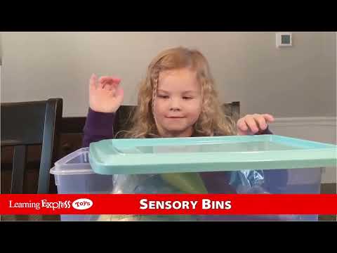 Sensory Bin Space