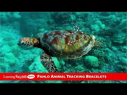 Sea Turtle White Howlite Journey