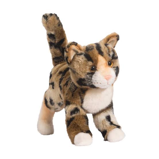 Tashette Bengal Cat Douglas