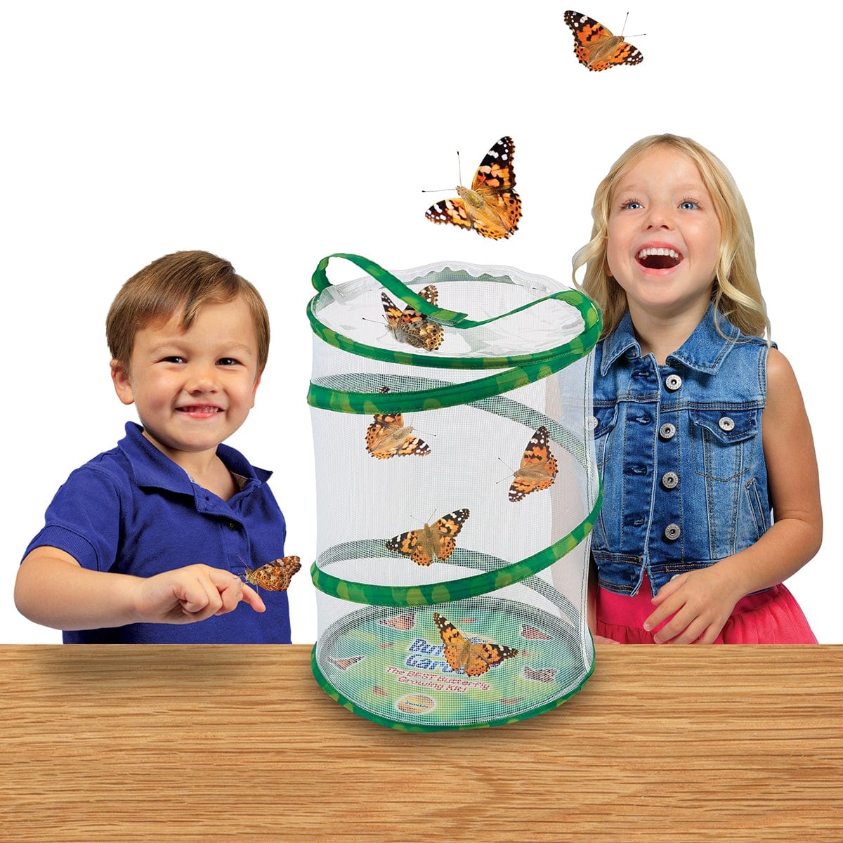 Butterfly Garden
