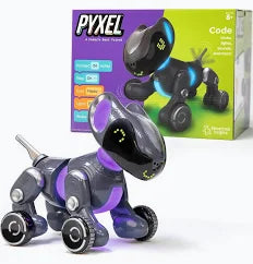 PYXEL Robot