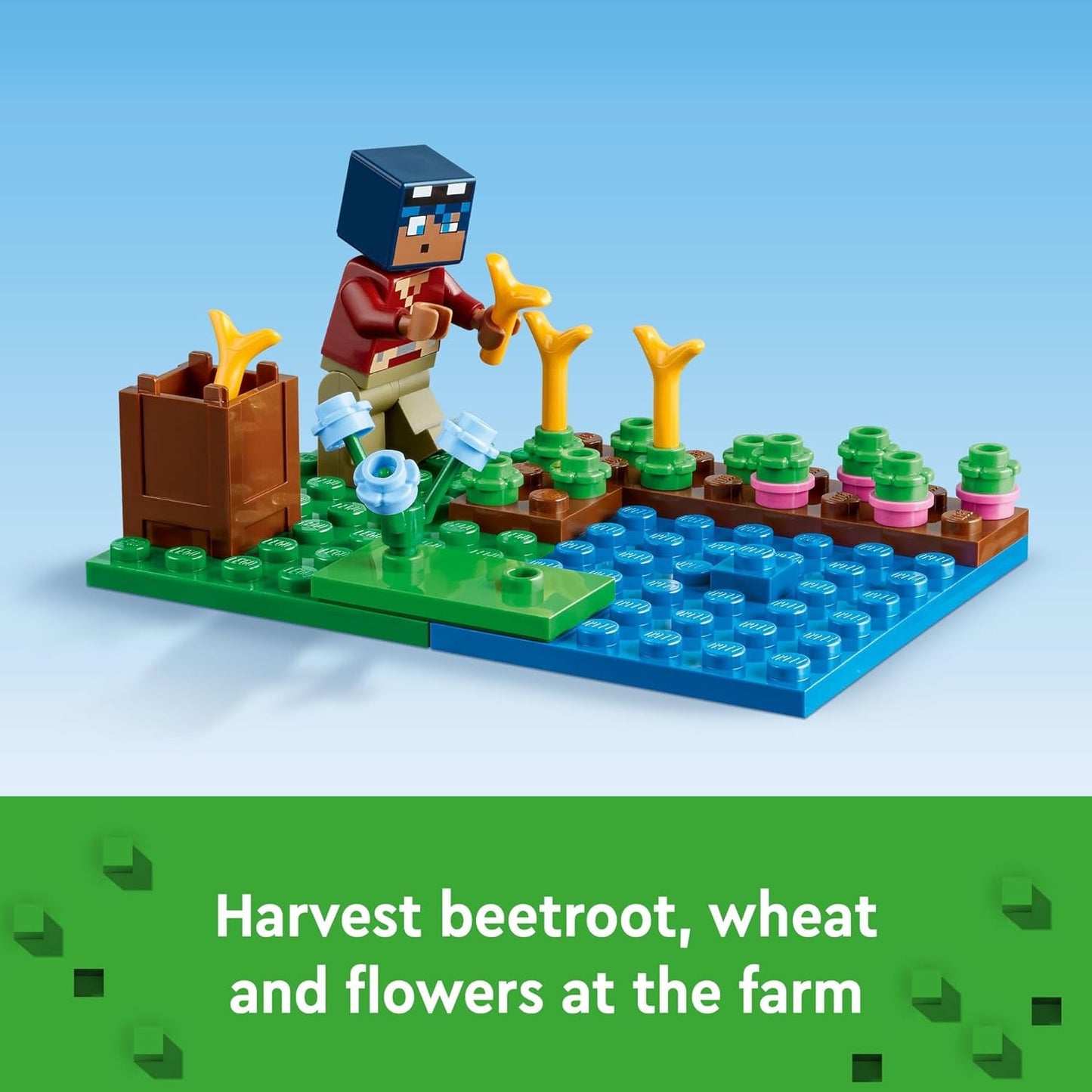 LEGO-« the Frog House