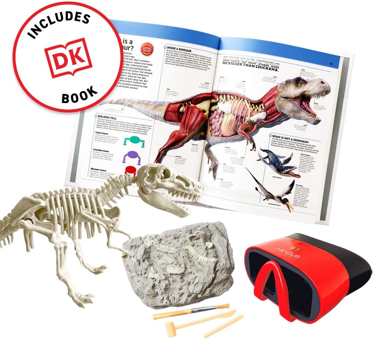 VR Dinosaurs Gift Box
