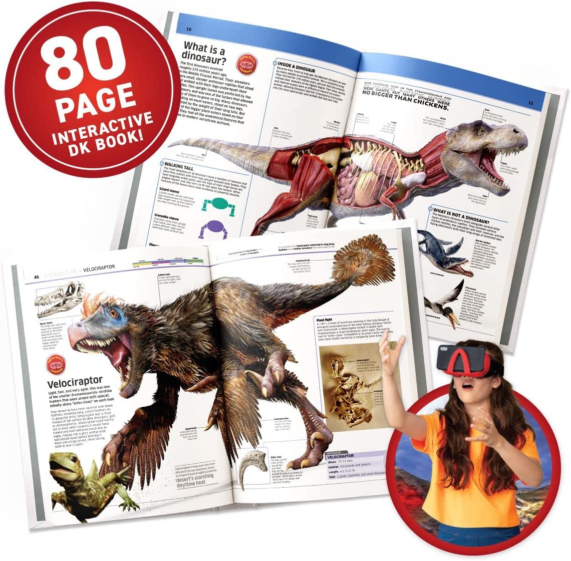 VR Dinosaurs Gift Box