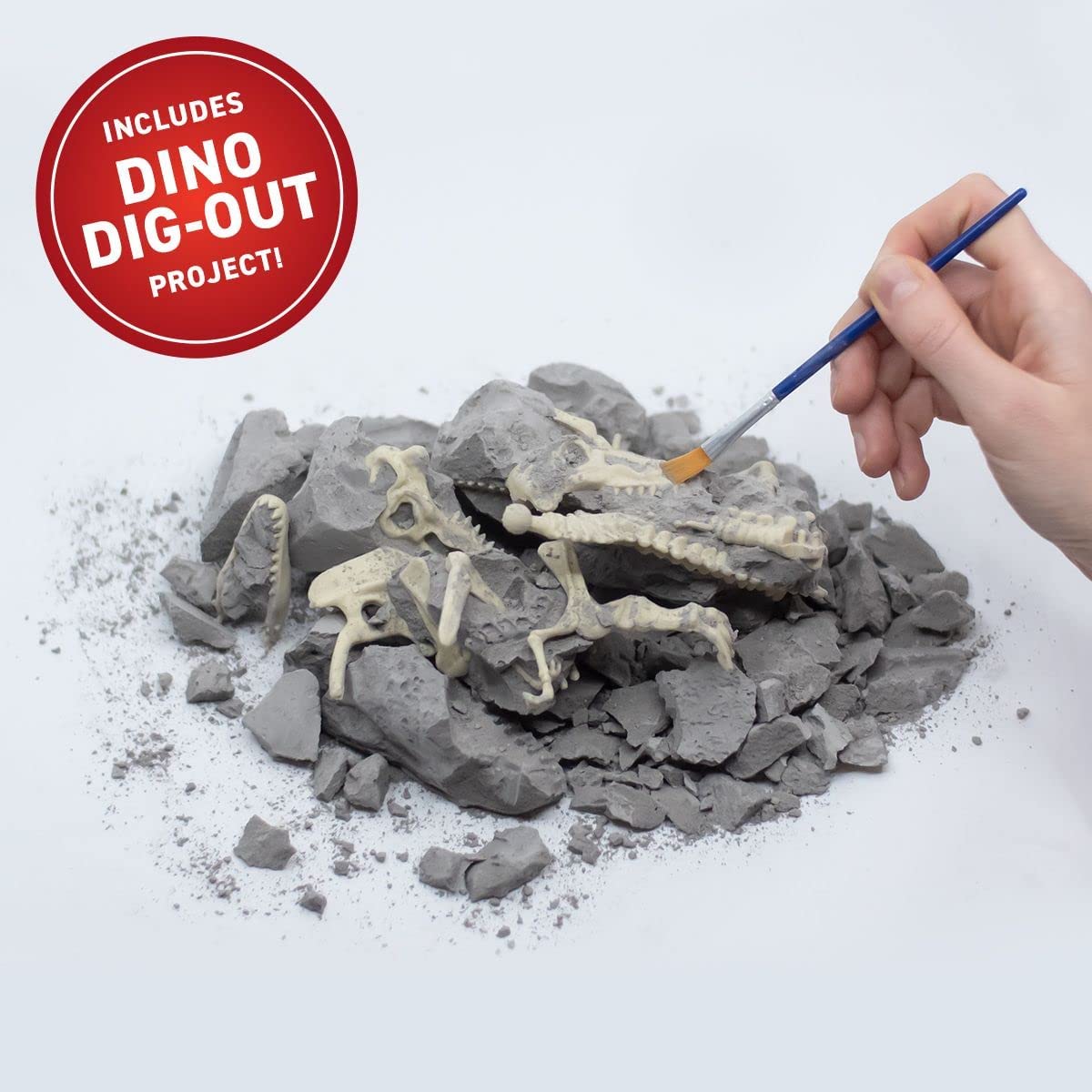 VR Dinosaurs Gift Box