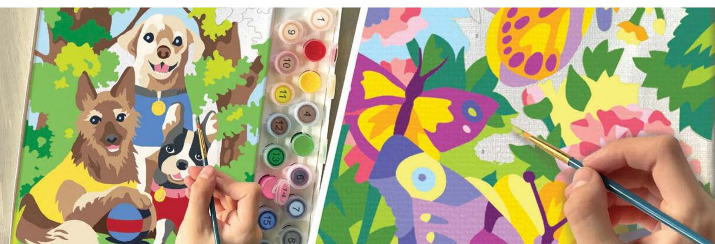 Paint Number Butterflies