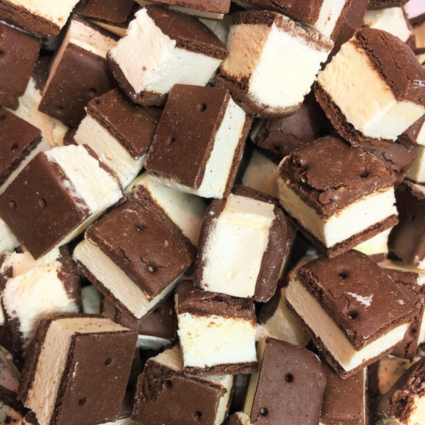 Freeze Dried Ice Cream Sandwich Bites Vanilla