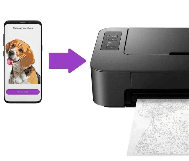 Paint You Photo Pets