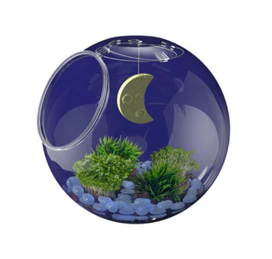 Light-Up Terrarium Wow in the World