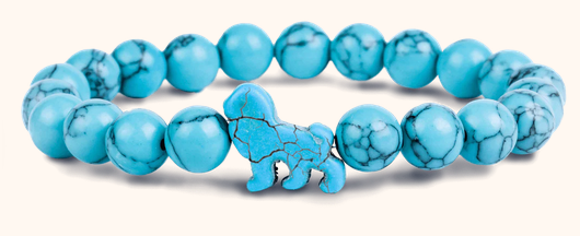 Lion Sky Stone Excursion