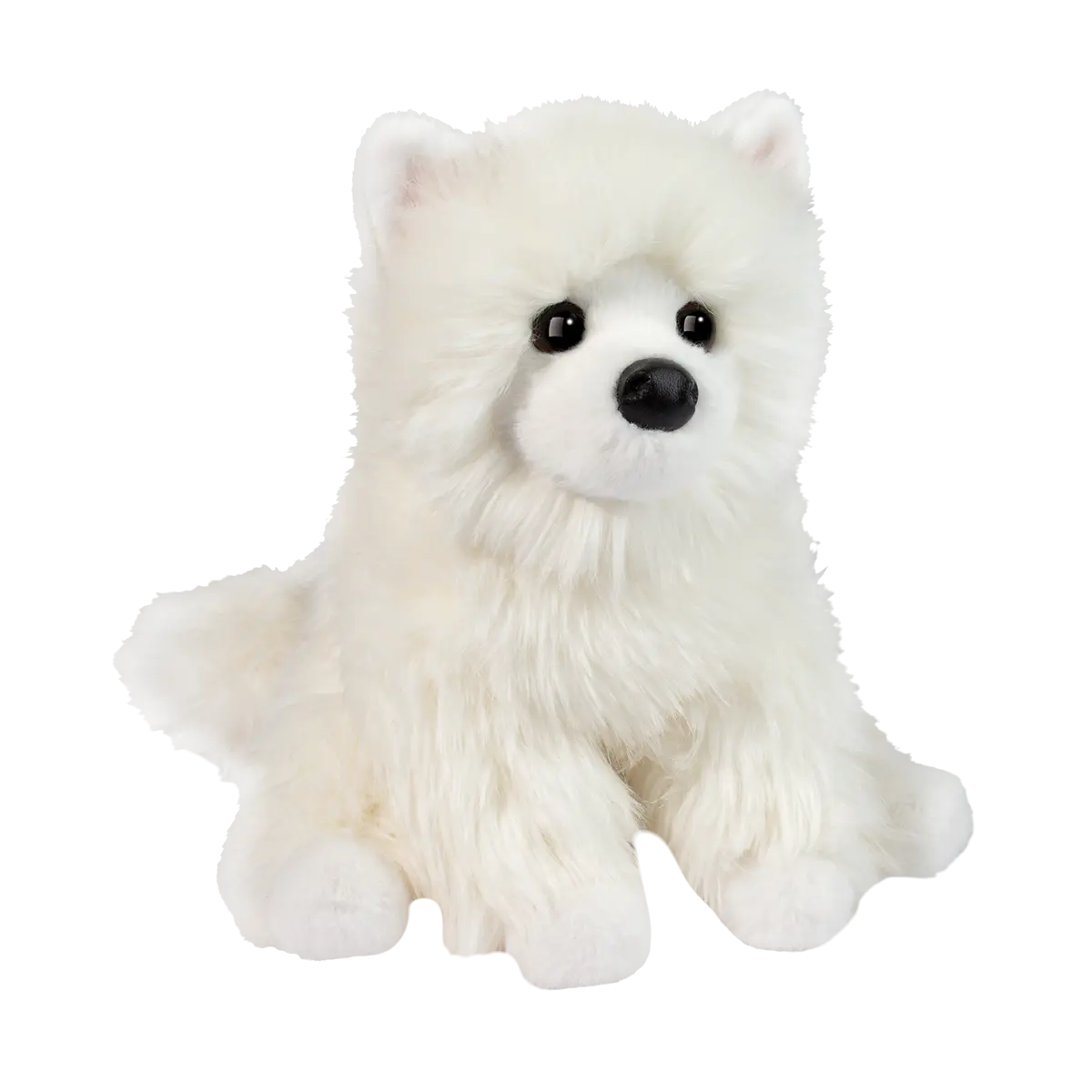Opo White Pomeranian Douglas