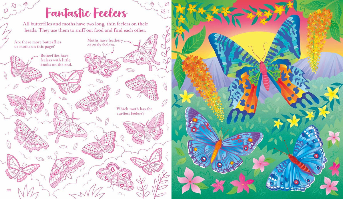 Usborne Scratch Activities Butterflies : Usborne