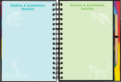 Reptiles & Amphibians Scratch and Sketch