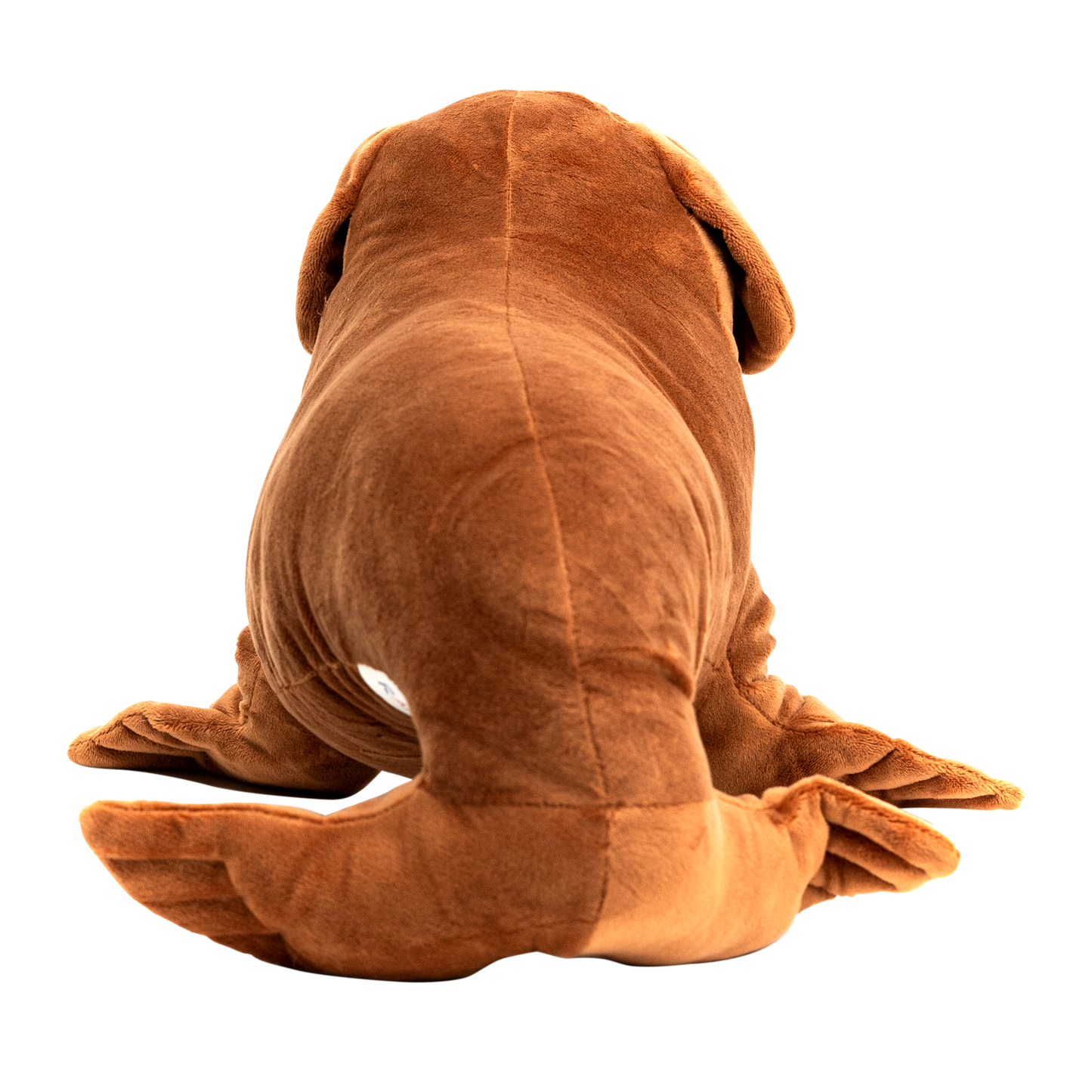 Sea Dog