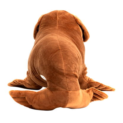 Sea Dog
