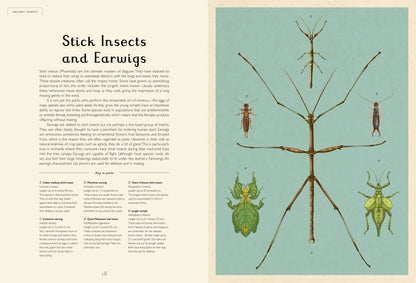 Insectarium