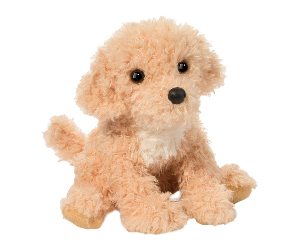 Noodle Goldendoodle Douglas
