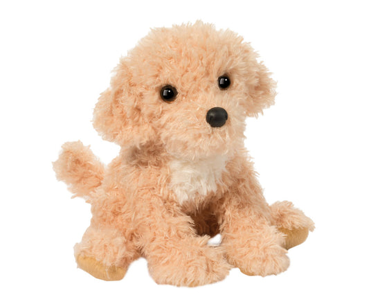 Noodle Goldendoodle Douglas
