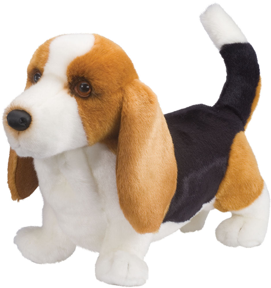 Harold Basset Hound Douglas