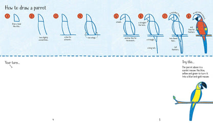 More Step-by-Step Drawing Book : Usborne