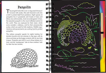 Nocturnal Animals Scratch and Sketch