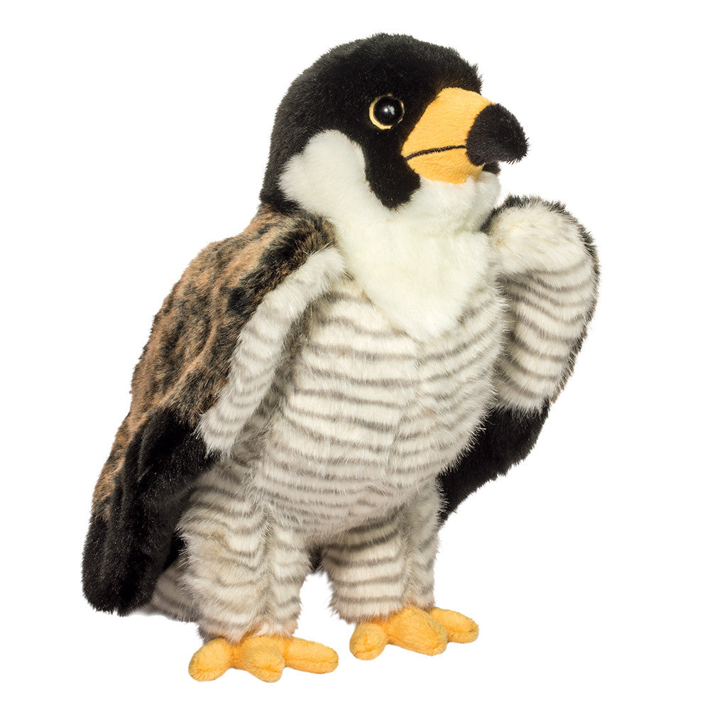 Houston Falcon Douglas