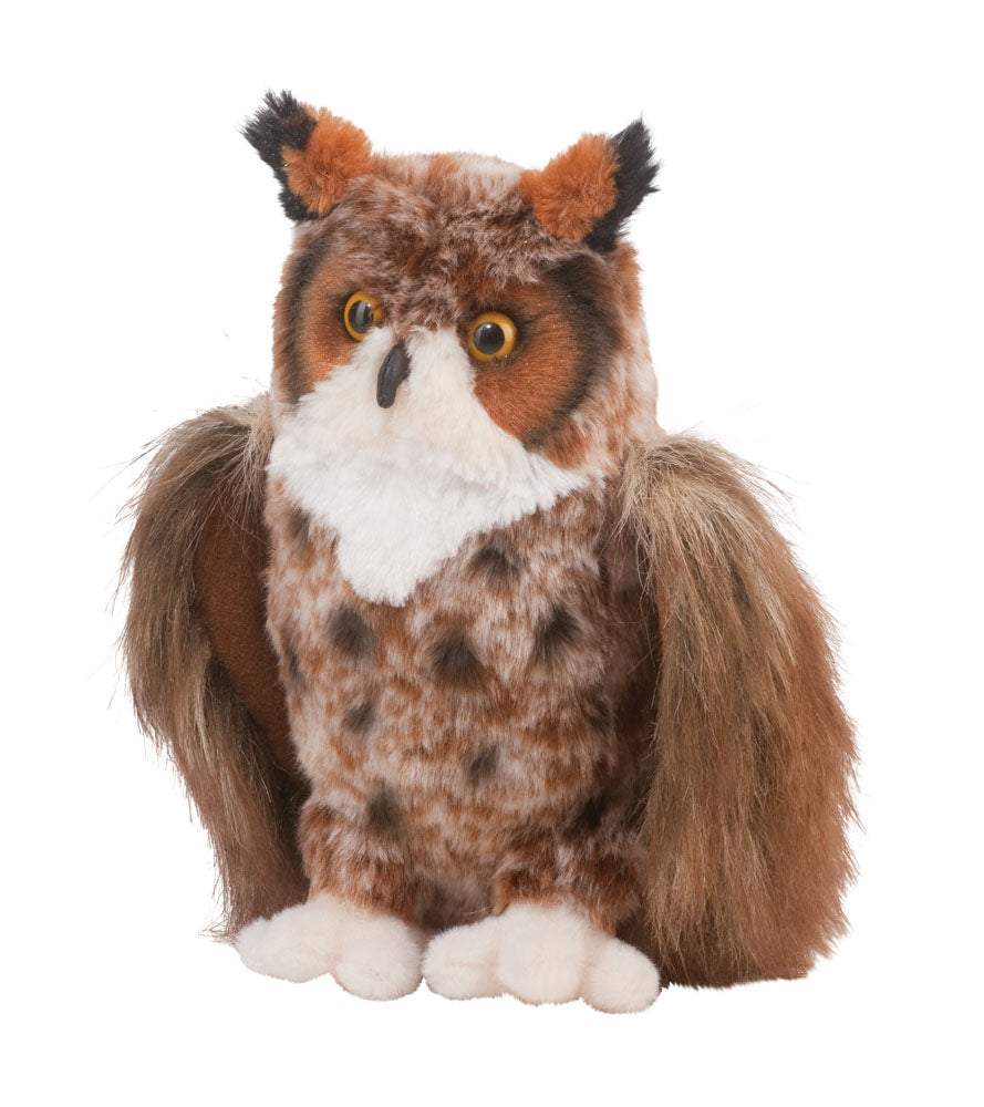 Einstein Great Horned Owl Douglas