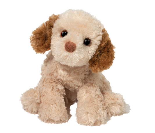 Biscuit Cavapoo Douglas