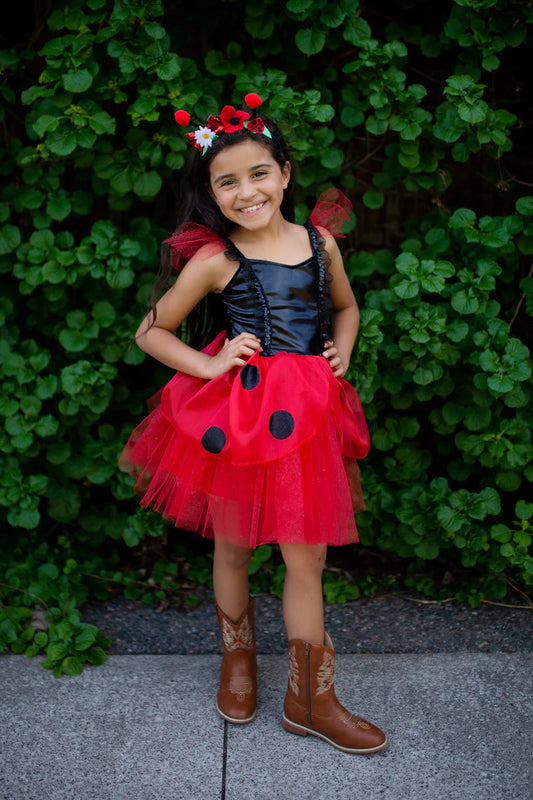Ladybug Dress & Headband Size 3-4