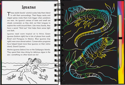 Reptiles & Amphibians Scratch and Sketch