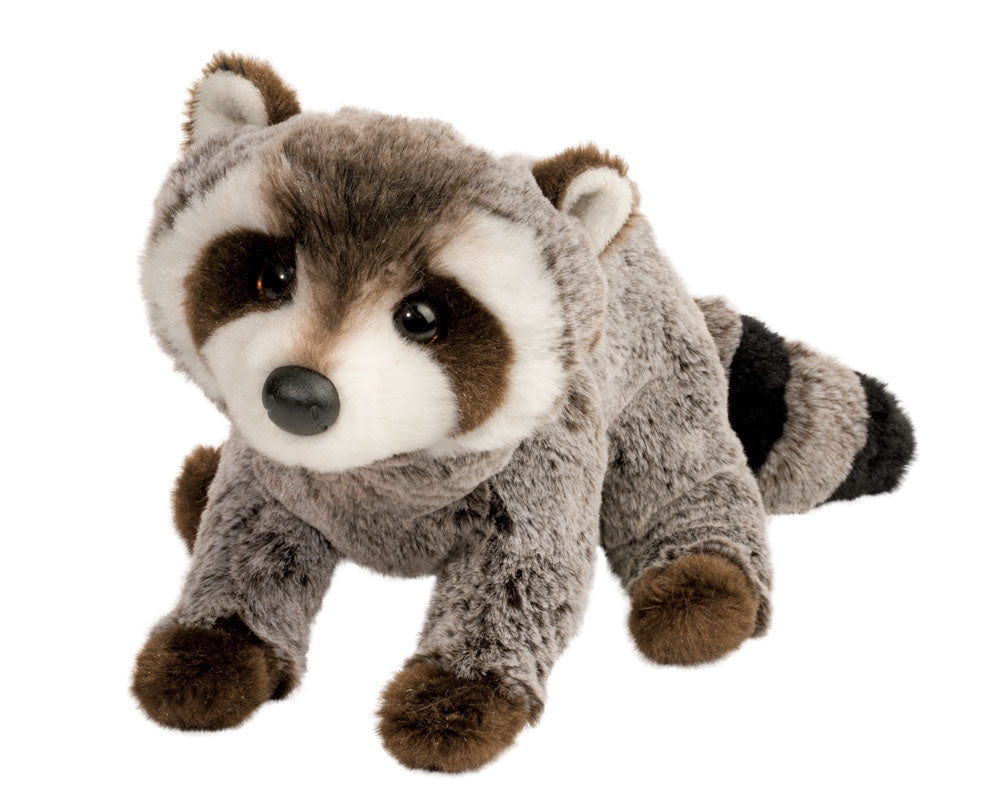 Ringo Raccoon Douglas