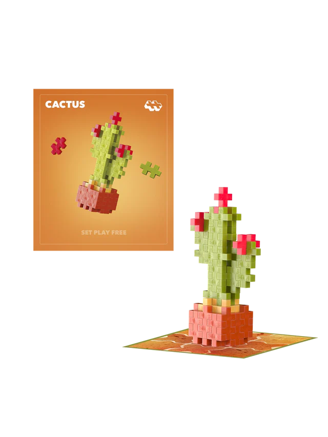 Calm Cactus