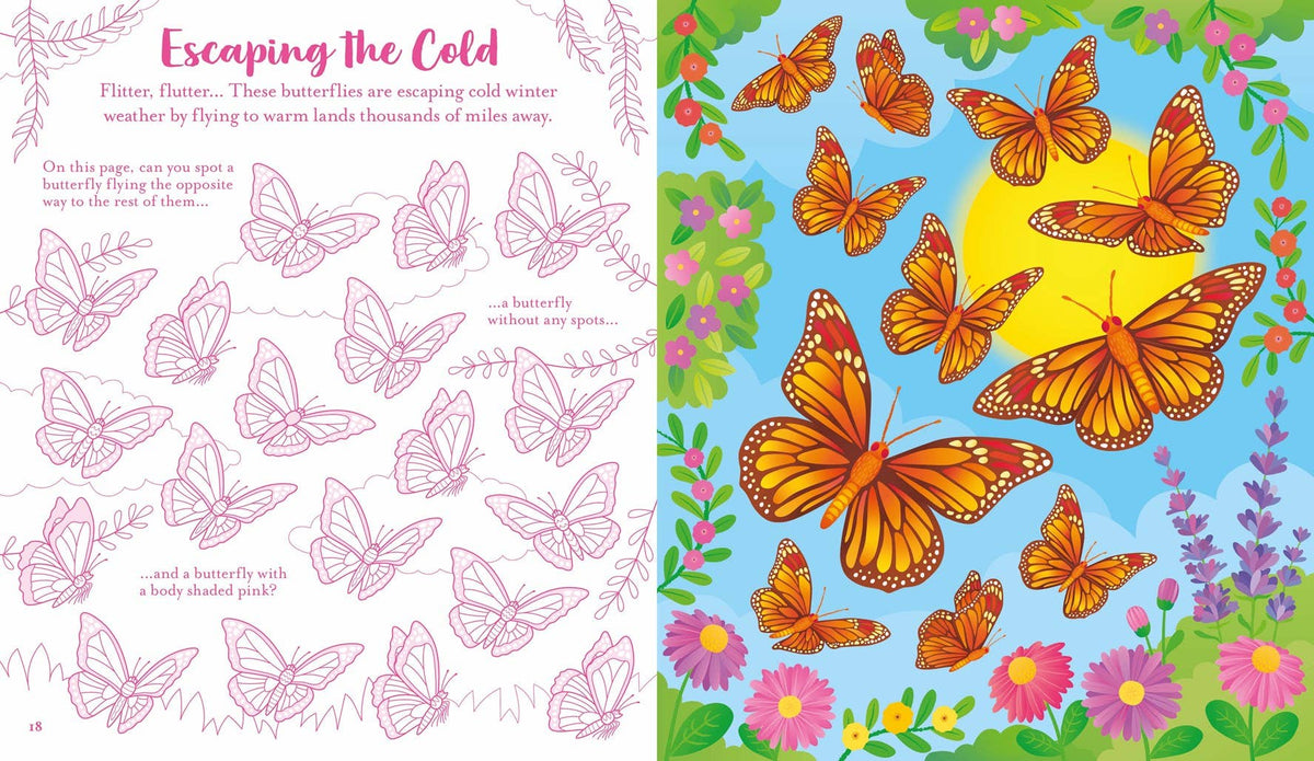 Usborne Scratch Activities Butterflies : Usborne