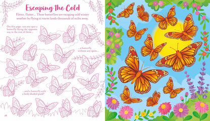 Usborne Scratch Activities Butterflies : Usborne