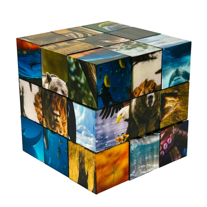 27 PC Magnetic Animal Click Blocks Watchitude