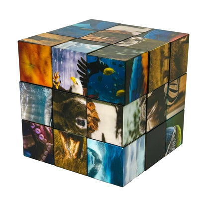 27 PC Magnetic Animal Click Blocks Watchitude