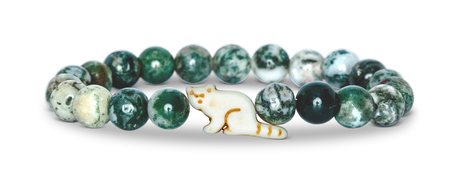 Red Panda Dash Bamboo