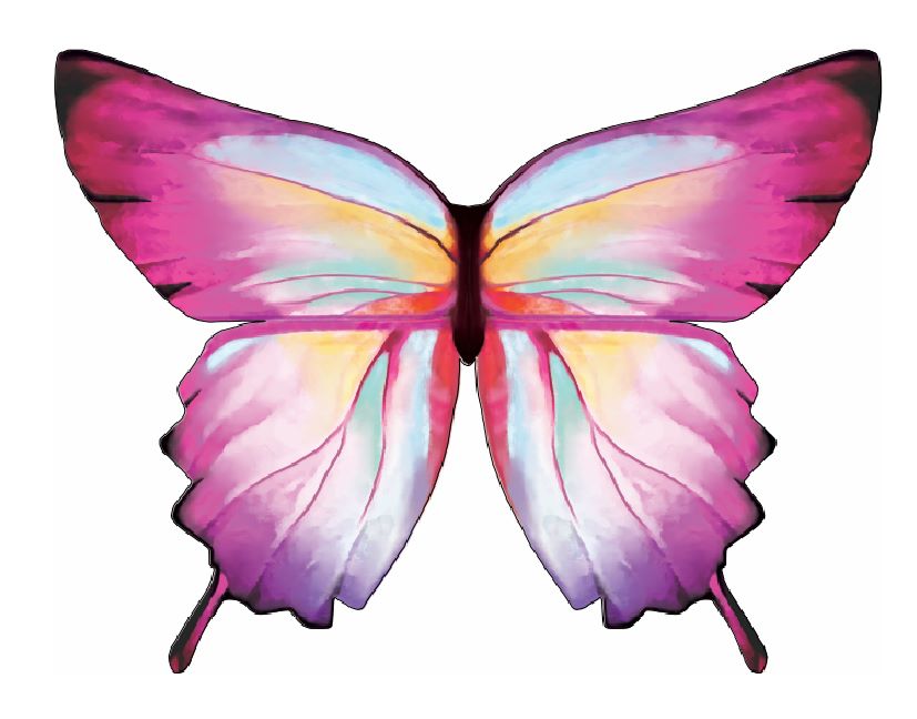 Ombre Butterfly Wings Size 4-6