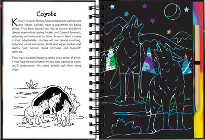 Nocturnal Animals Scratch and Sketch