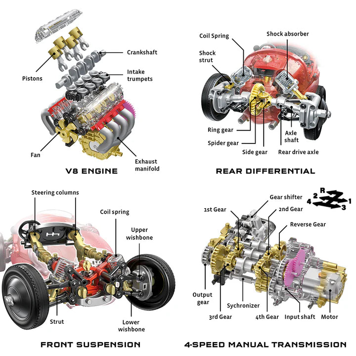V8 Race Car